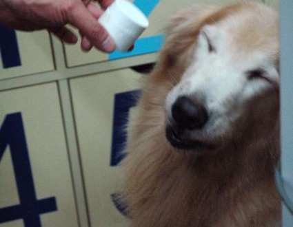 1380943756-1589758186