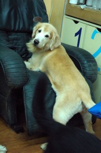 1380943756-3900256207