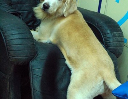 1380943756-3900256207