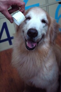 1380943757-1295645106