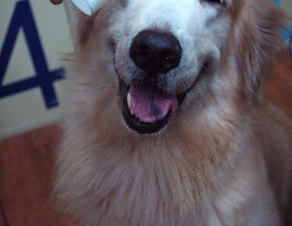 1380943757-1295645106