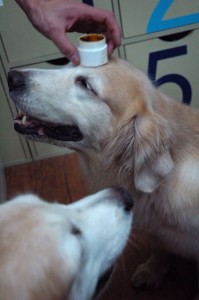 1380943757-747496136