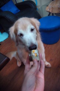 1380943758-3512336147