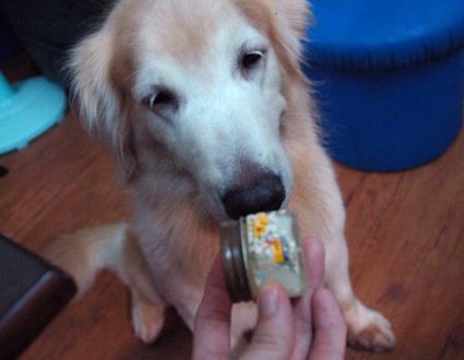 1380943758-3512336147