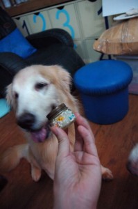 1380943758-696469728