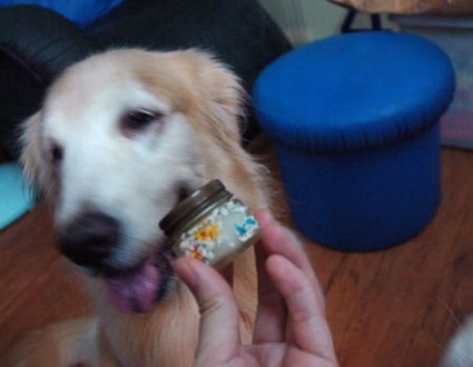 1380943758-696469728