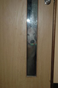 1380943759-2016104313