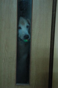 1380943759-3458736595