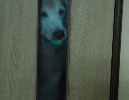 1380943759-3458736595