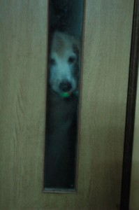 1380943759-3848207952