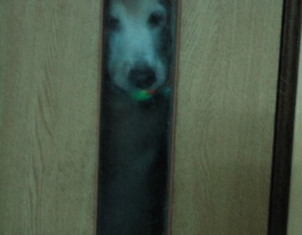 1380943759-3848207952