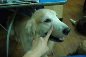 1380943760-2690470953