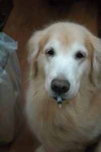 1380943761-2131315521