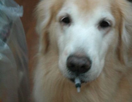 1380943761-2131315521