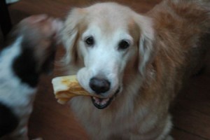 1380943761-2227775167