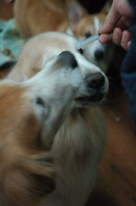 1380943762-1743311324