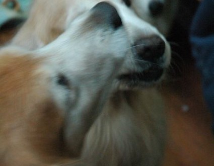 1380943762-1743311324