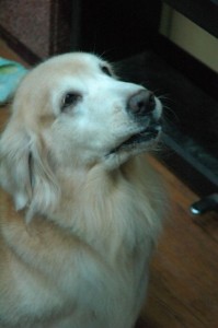 1380943762-1890912174