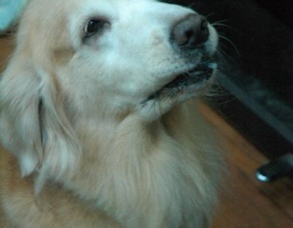 1380943762-1890912174