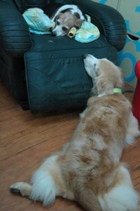 1380943762-4017322303