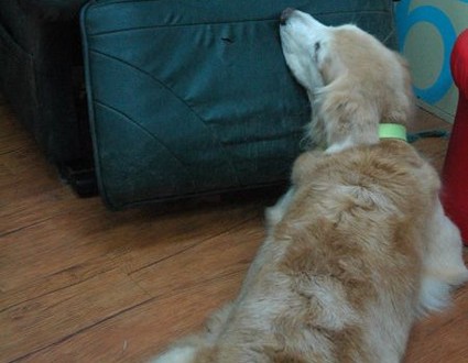 1380943762-4017322303