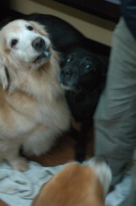 1380943762-617940325