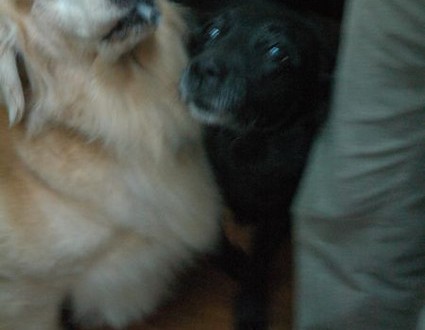 1380943762-617940325