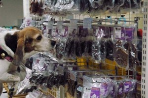 1380943779-365335549