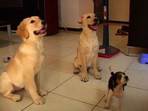 1380943781-2597539336