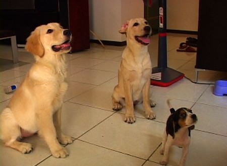 1380943781-2597539336