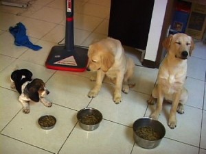 1380943782-2725372096