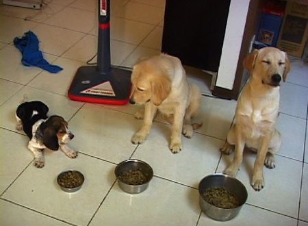 1380943782-2725372096