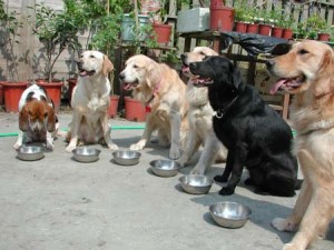 1380943783-2219352687