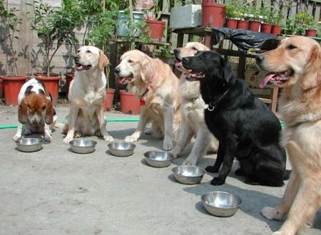 1380943783-2219352687