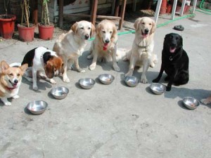 1380943783-4101157139