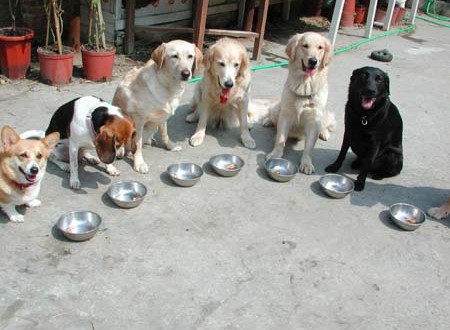 1380943783-4101157139