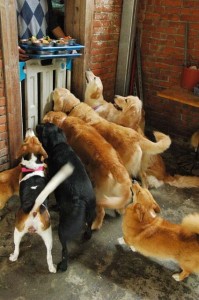 1380943784-1151541987