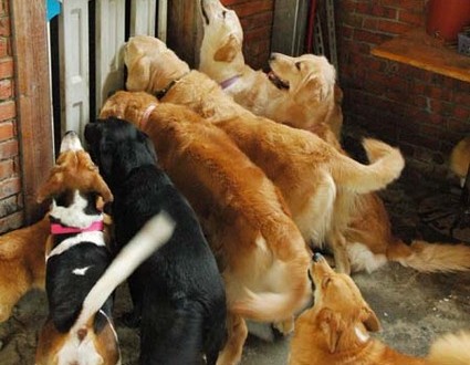 1380943784-1151541987