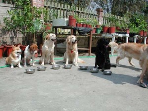 1380943784-2865018336