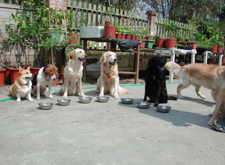 1380943784-2865018336