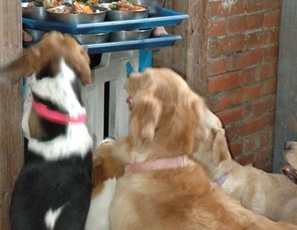 1380943785-1014523529