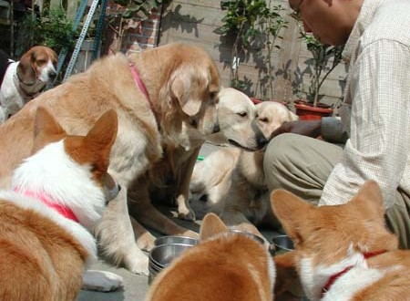 1380943786-2765625884