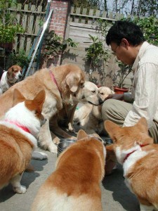 1380943786-2765625884