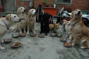 1380943786-419862403