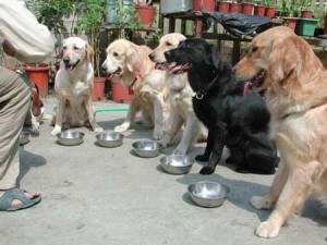 1380943787-1150154529