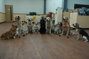 1380943787-260919972