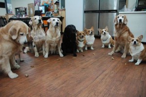 1380943787-2768757856