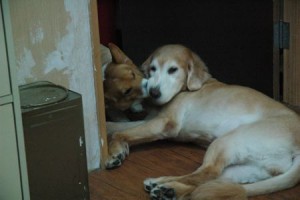 1380943813-3137314051