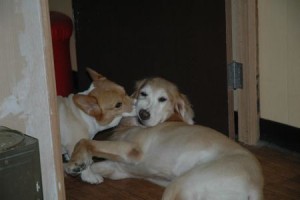 1380943814-235685281