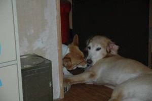 1380943814-3652458280